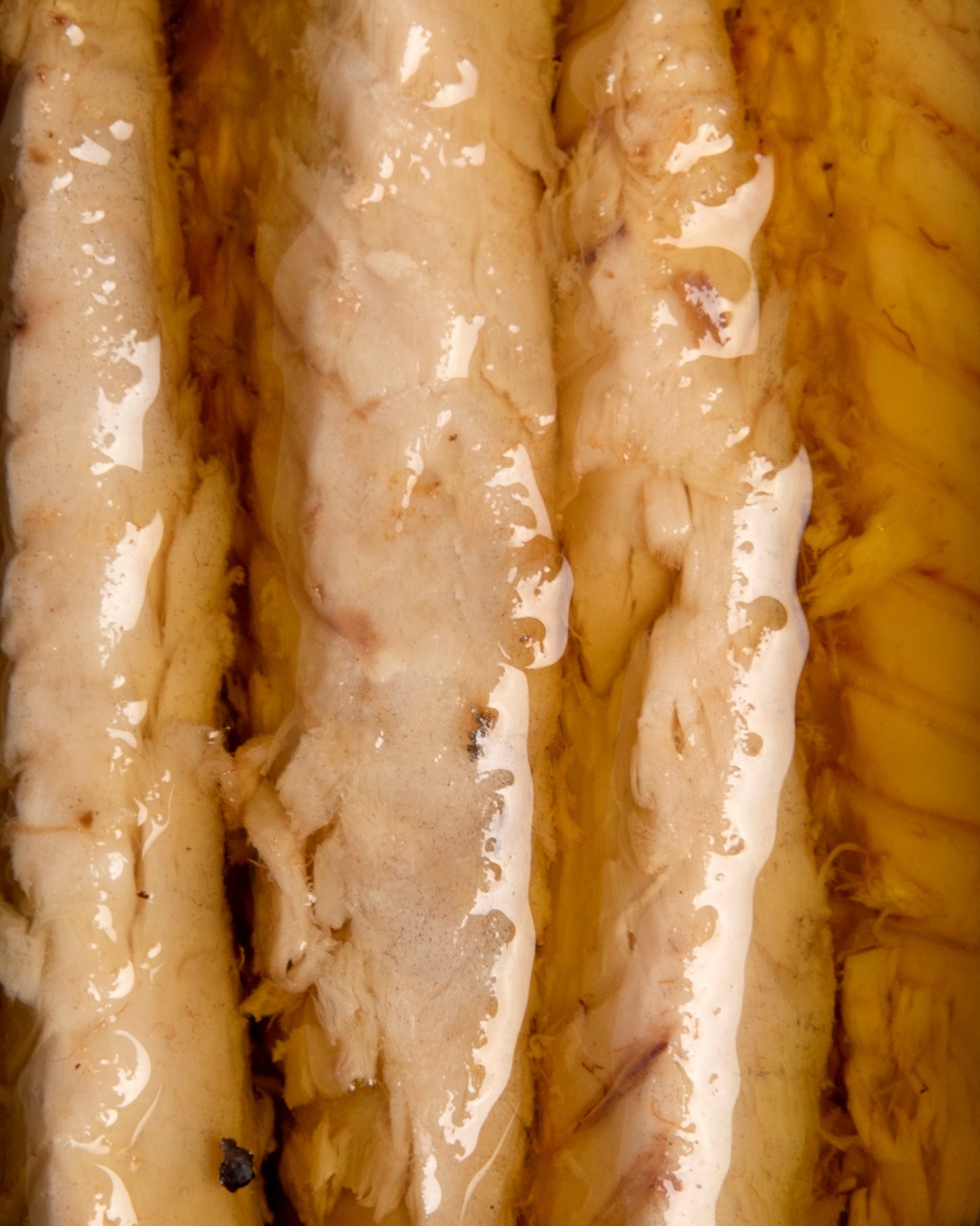 Filetes de Cavala em Azeite e Piri-Piri Biológicos