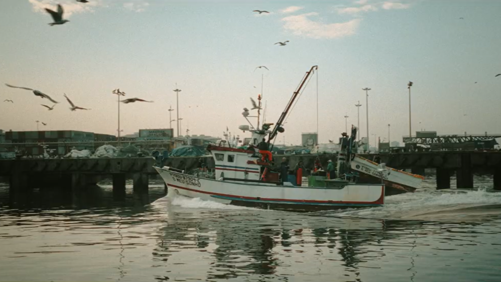 Carregar vídeo: Vídeo Promocional da 100 Mistérios